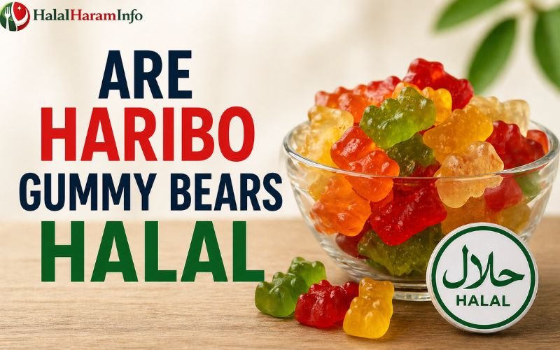 Are Haribo Gummy Bears Halal