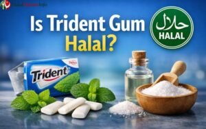 Is Trident Gum Halal