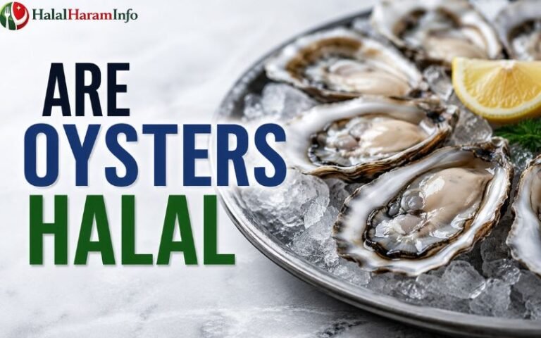 Are Oysters Halal