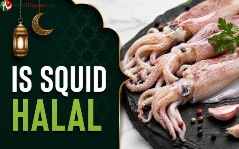 Is Squid Halal