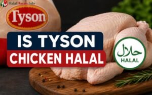 Is Tyson Chicken Halal